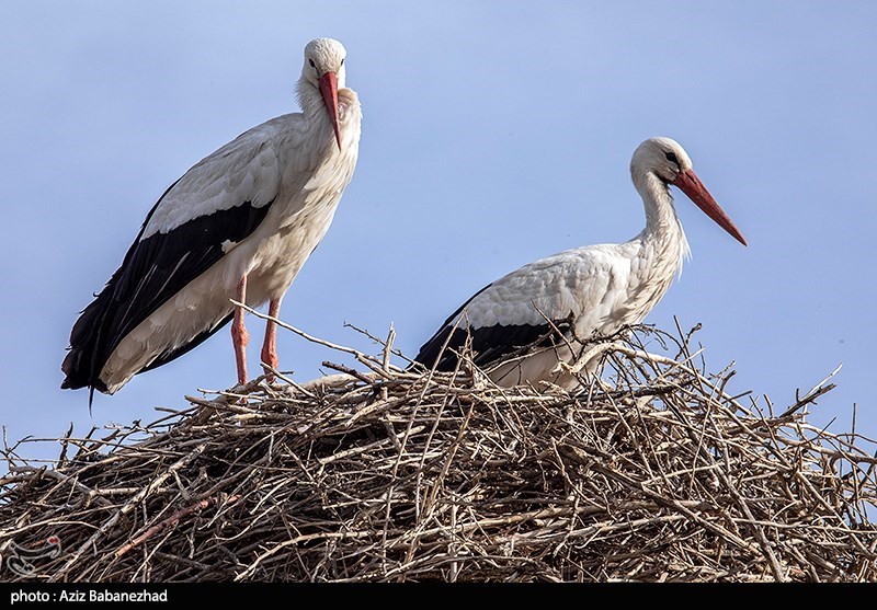 استان لرستان , گردشگری , عید نوروز , سفرهای نوروزی , 