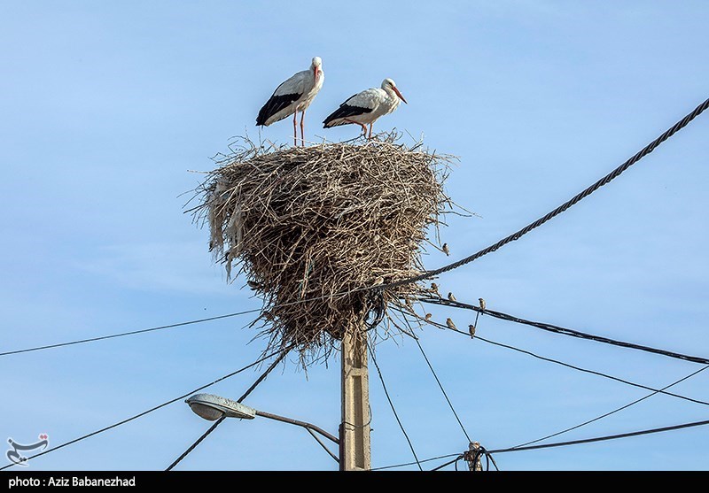 استان لرستان , گردشگری , عید نوروز , سفرهای نوروزی , 
