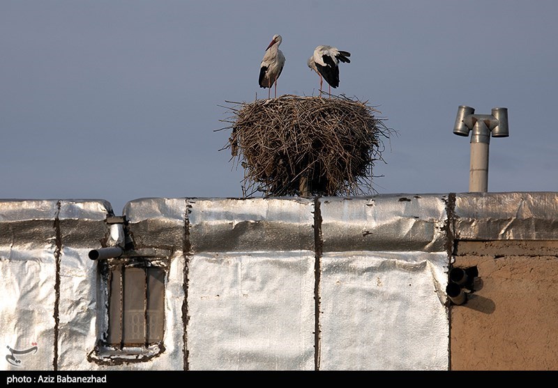 استان لرستان , گردشگری , عید نوروز , سفرهای نوروزی , 