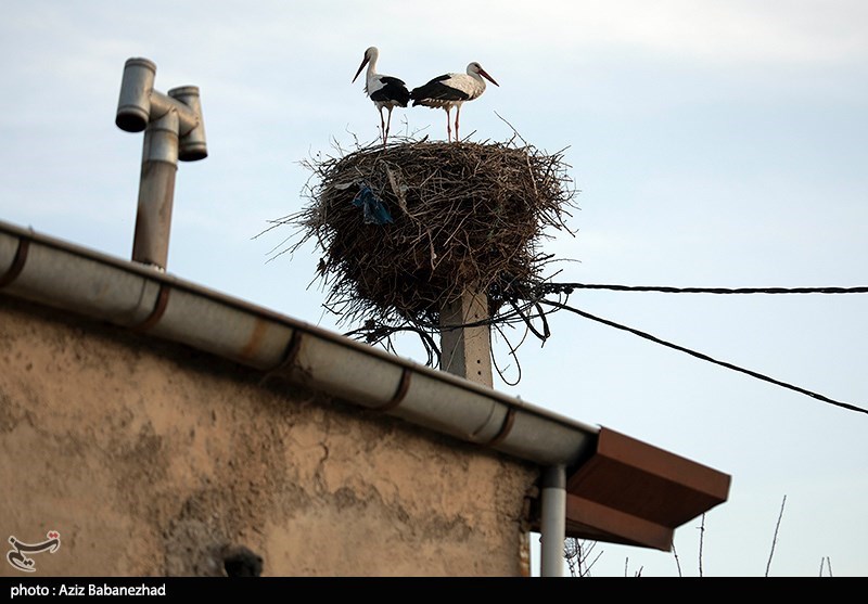 استان لرستان , گردشگری , عید نوروز , سفرهای نوروزی , 
