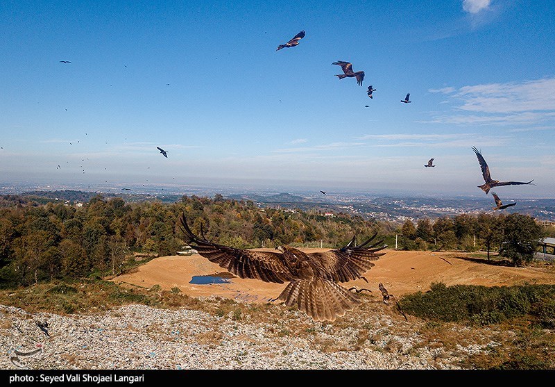 نظام مسائل استان , نظام مسائل استان مازندران , 