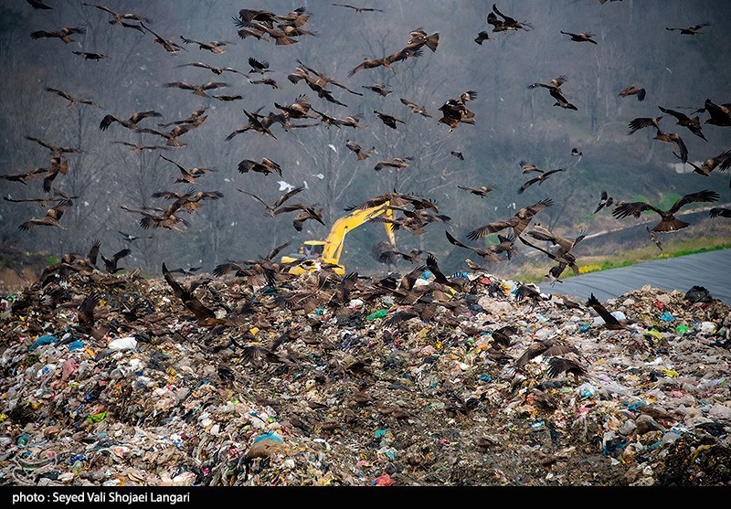 نظام مسائل استان , نظام مسائل استان مازندران , 