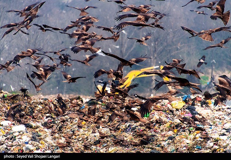 نظام مسائل استان , نظام مسائل استان مازندران , 