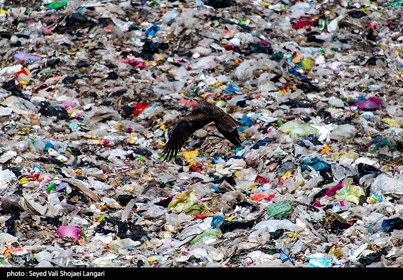 نظام مسائل استان , نظام مسائل استان مازندران , 