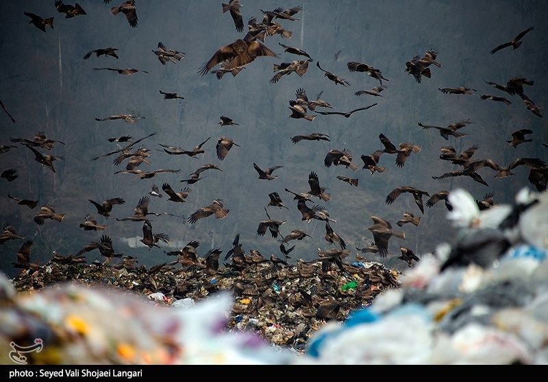 نظام مسائل استان , نظام مسائل استان مازندران , 