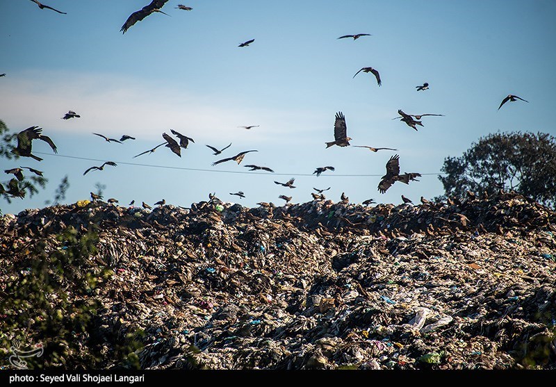 نظام مسائل استان , نظام مسائل استان مازندران , 