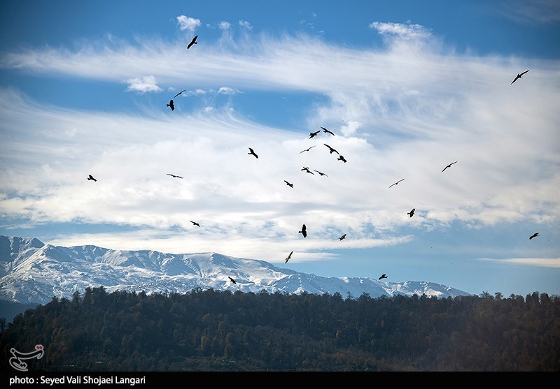 نظام مسائل استان , نظام مسائل استان مازندران , 