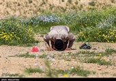 سرزمین راهیان نور / منطقه عملیاتی شرهانی
