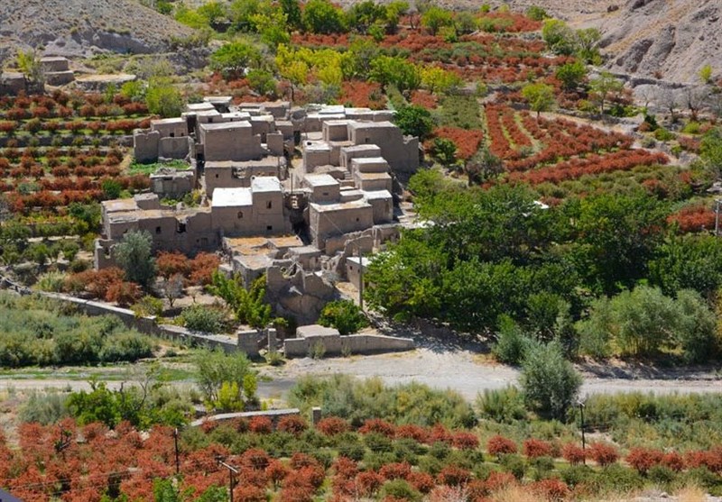 اخبار استان خراسان جنوبی , گردشگری , کشاورزی , 