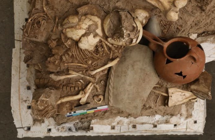 پارک علم و فناوری , پارک علم و فناوری دانشگاه تهران ,