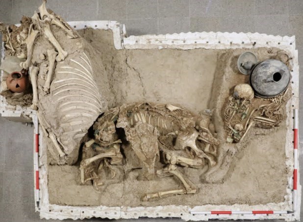 پارک علم و فناوری , پارک علم و فناوری دانشگاه تهران ,