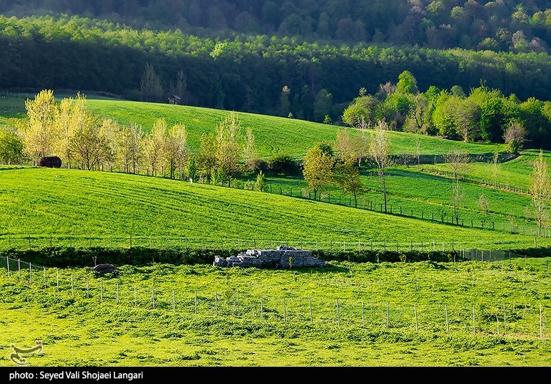 اخبار استان مازندران , اخبار ساری , نظام مسائل استان , نظام مسائل استان مازندران , 