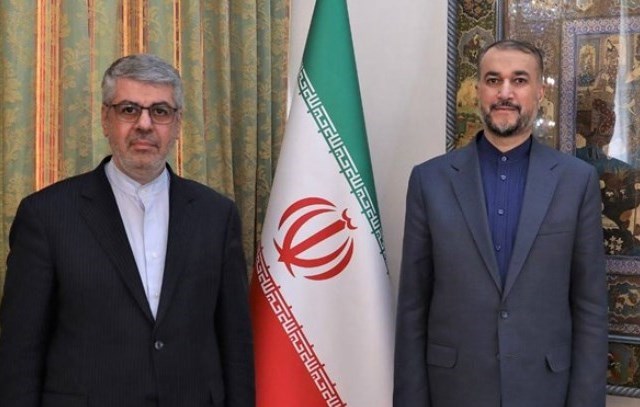 حسین امیرعبداللهیان , سفیر جمهوری اسلامی ایران , 