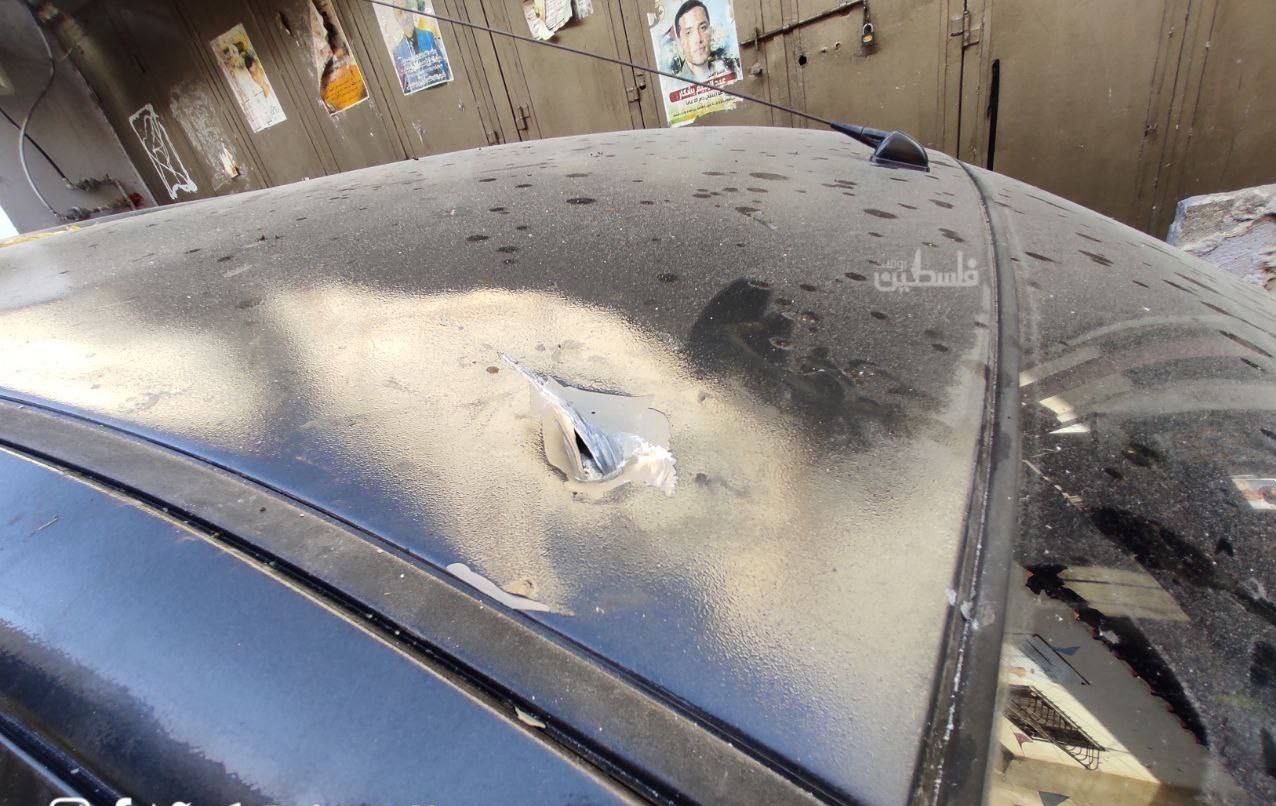 فلسطین , بیشه شیرها , رژیم صهیونیستی (اسرائیل) , 