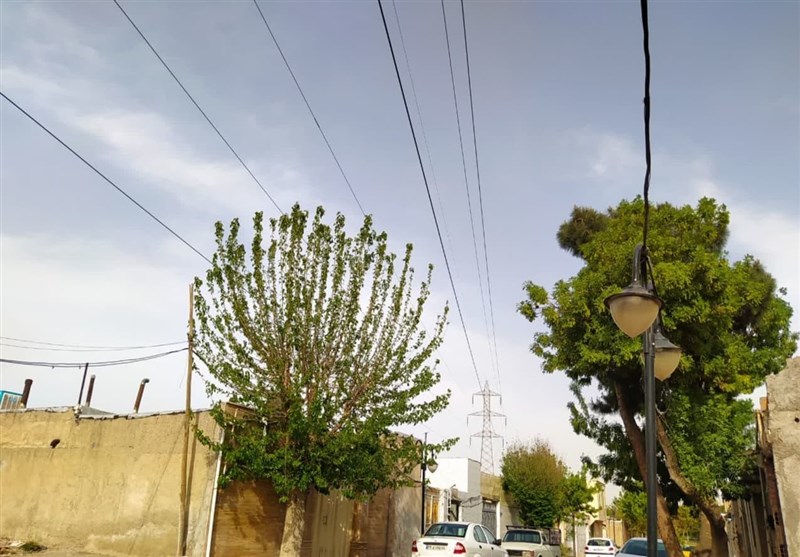 آسیب‌های اجتماعی , شورای اسلامی استان تهران , 