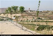 زاهدان در مسیر شکل‌دهی بزرگ‌ترین کمربند سبز شرق کشور