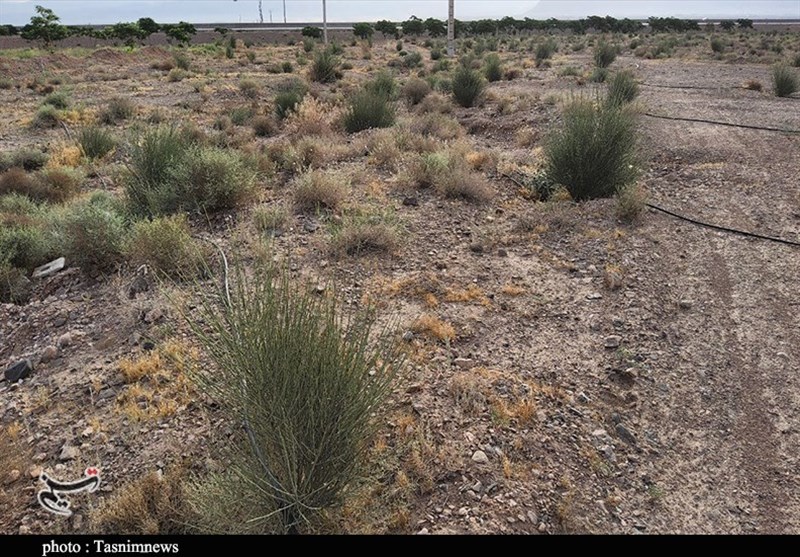 استان کرمان ,