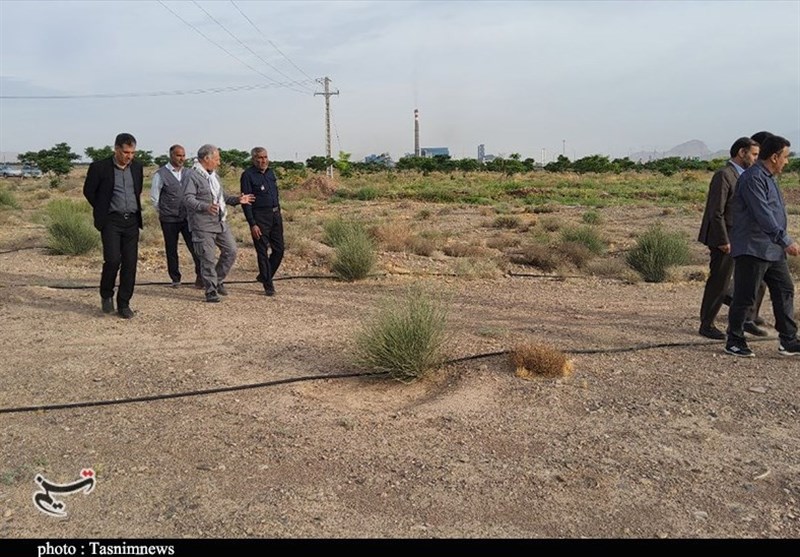 استان کرمان ,