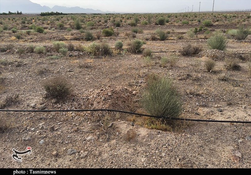 استان کرمان ,