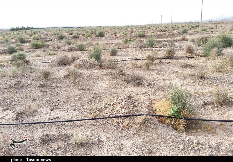 استان کرمان ,