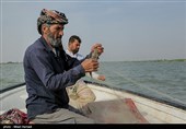 صید ماهی صبور  در اروند رود