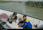 صید ماهی صبور  در اروند رود