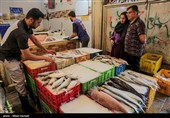 صید ماهی صبور  در اروند رود
