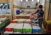 صید ماهی صبور  در اروند رود