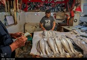 صید ماهی صبور  در اروند رود
