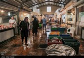 صید ماهی صبور  در اروند رود