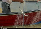 صید ماهی صبور  در اروند رود