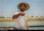 صید ماهی صبور  در اروند رود