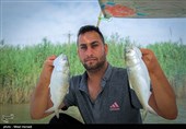 صید ماهی صبور  در اروند رود