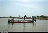 صید ماهی صبور  در اروند رود