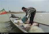 صید ماهی صبور  در اروند رود
