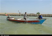 صید ماهی صبور  در اروند رود