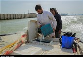 صید ماهی صبور  در اروند رود