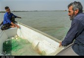 صید ماهی صبور  در اروند رود