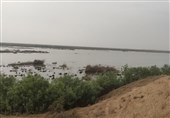 صدور سند مالکیت دولتی برای اراضی ساحلی و تالاب‌های گلستان