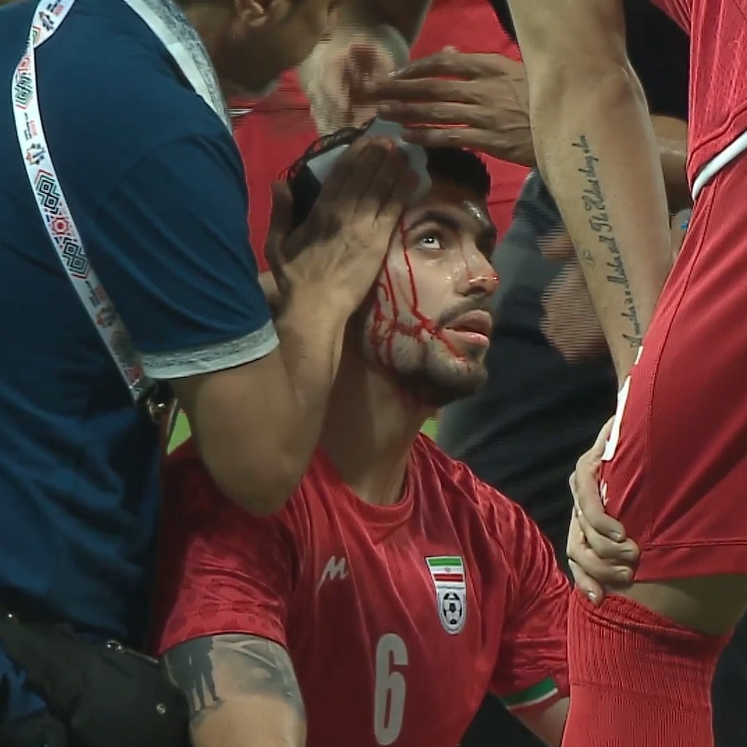 تیم ملی فوتبال ایران , امیر قلعهنویی ,