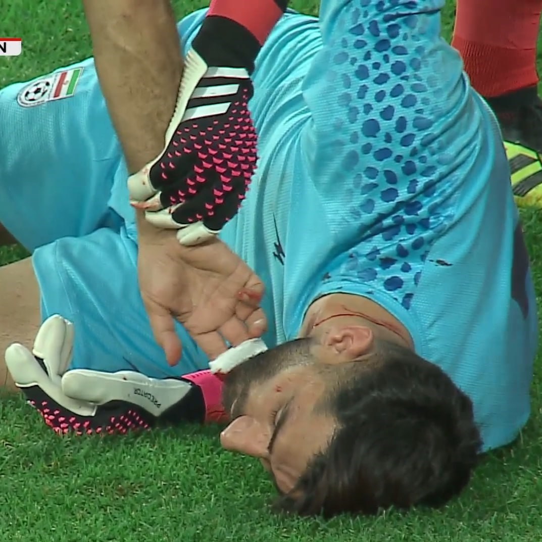 تیم ملی فوتبال ایران , امیر قلعهنویی ,