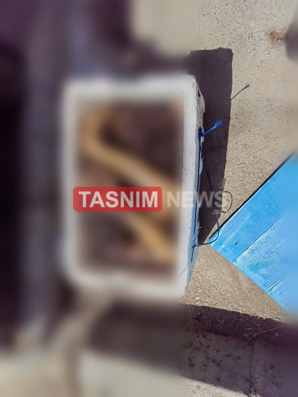 دادسرای امور جنایی , پلیس آگاهی , 