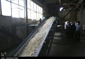 بازدید خبرنگاران از کارخانه قند همدان