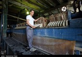 بازدید خبرنگاران از کارخانه قند همدان