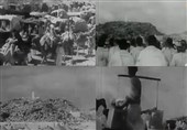 ویدیویی تاریخی از زائران حج سال 1317 در عرفات