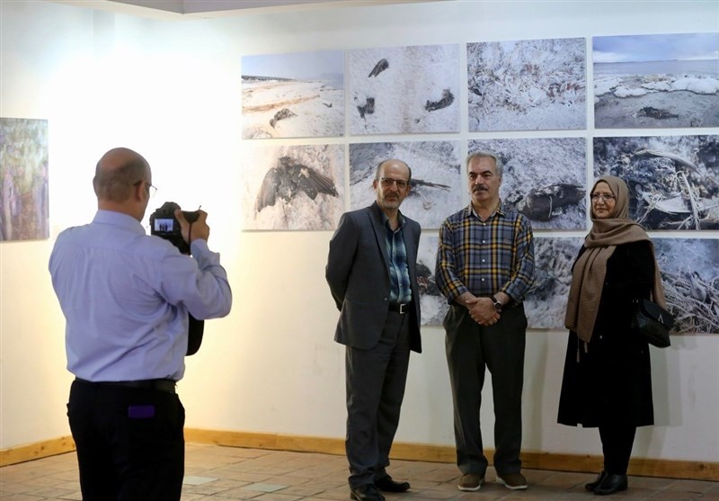 هنرهای تجسمی , 