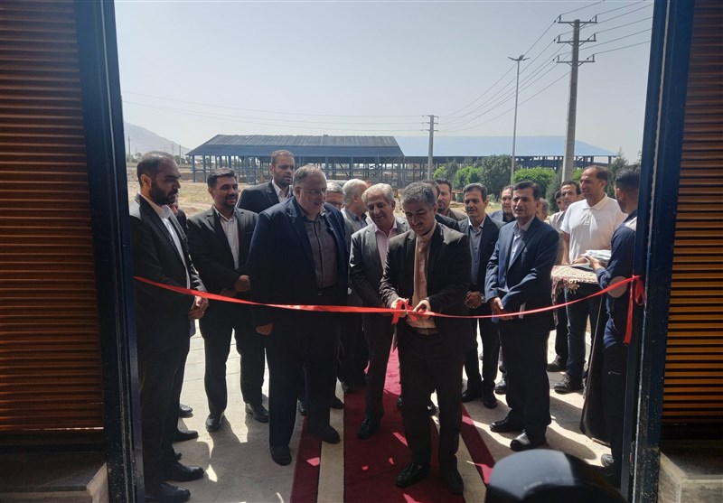 تولید ملی , کارگاه تولیدی , استانداری قزوین , 