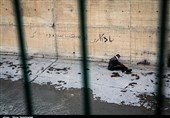 کاهش شمار معتادان متجاهر تهران از 25 هزار به حدود 4 هزار نفر طی سه سال