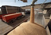 خرید تضمینی گندم به مرز 9 میلیون تن رسید