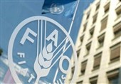 فائو از افزایش قیمت مواد غذایی در ژوئیه خبر داد